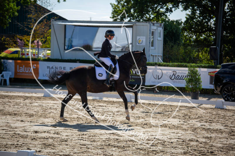 bouferterhaff-jumping-9-standard-604arq.jpg