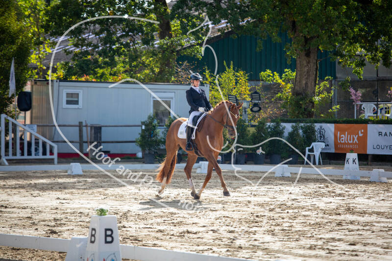 bouferterhaff-jumping-9-standard-etn0ms.jpg