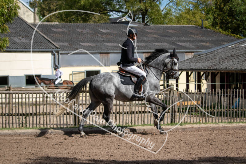 bouferterhaff-jumping-9-standard-kf80ad.jpg