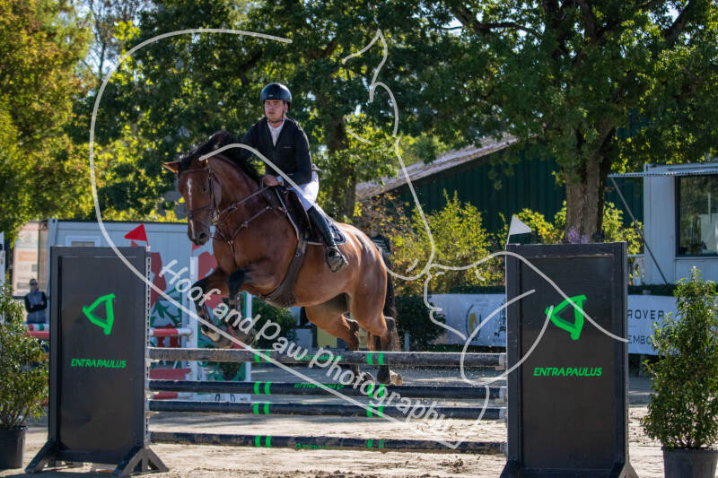 bouferterhaff-jumping-9-standard-p52qb8.jpg