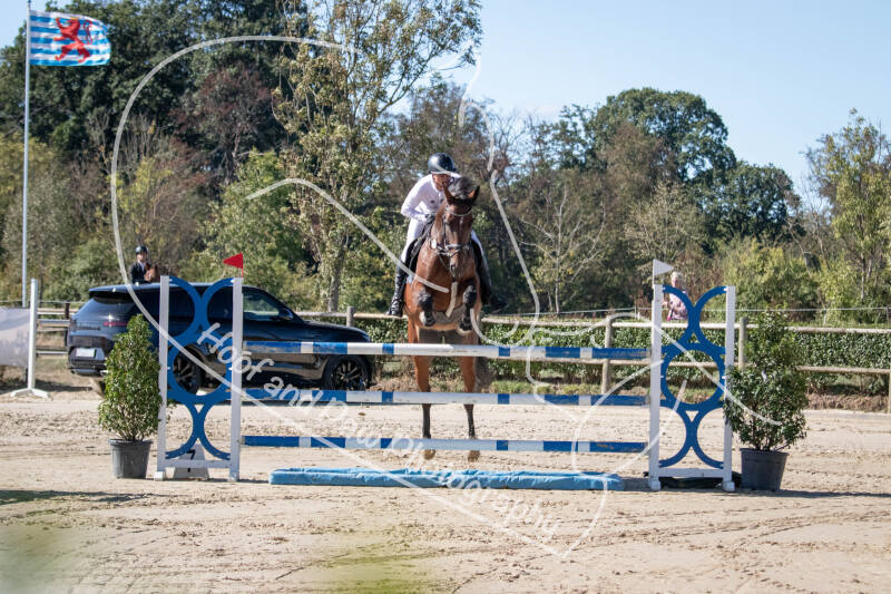 bouferterhaff-jumping-9-standard-wkiwd5.jpg