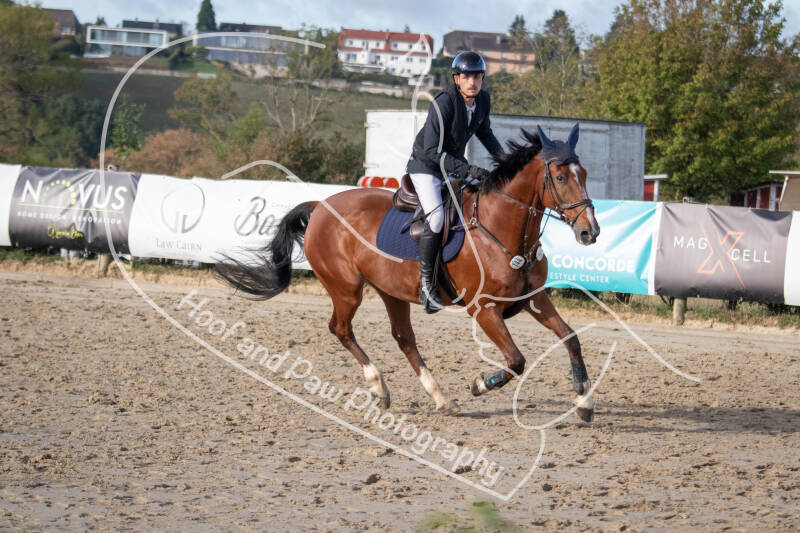 bouferterhaff-jumping-90-standard-23abdg.jpg