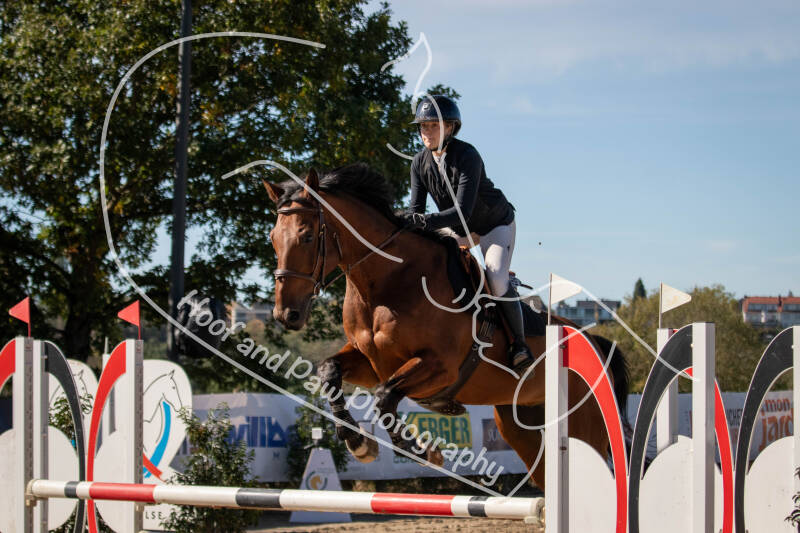 bouferterhaff-jumping-90-standard-apiexo.jpg