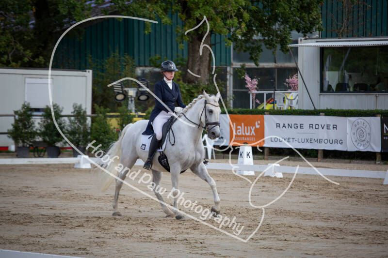 bouferterhaff-jumping-90-standard-e8ddnz.jpg