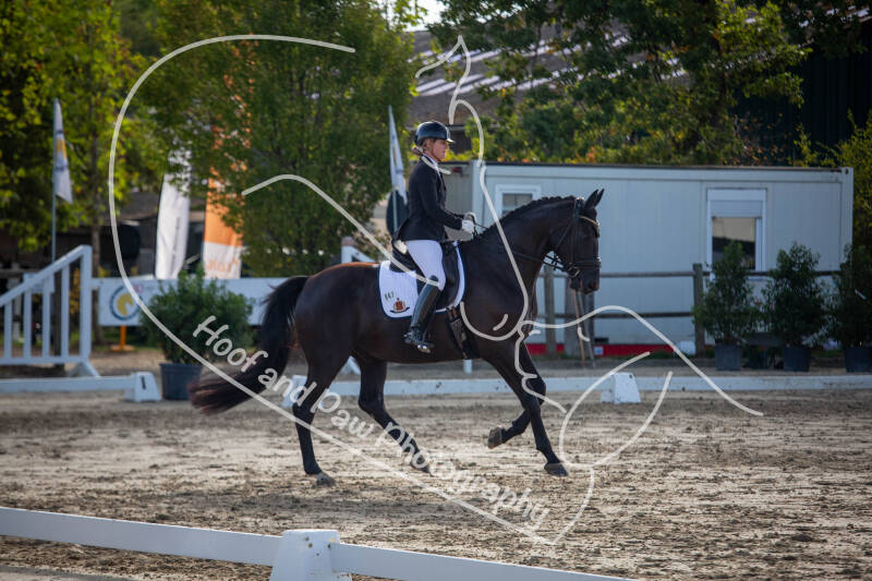 bouferterhaff-jumping-90-standard-h50zur.jpg