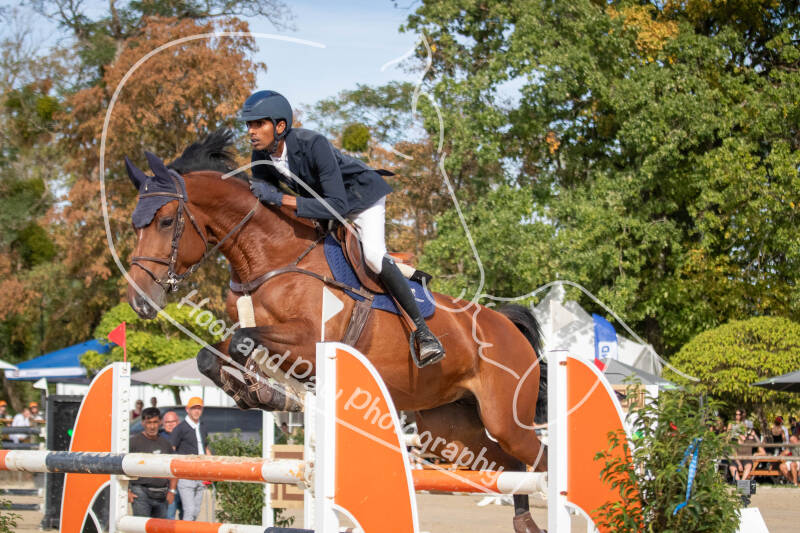 bouferterhaff-jumping-90-standard-kv2axz.jpg
