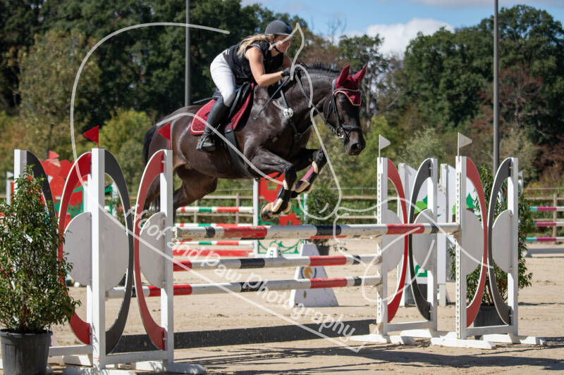 bouferterhaff-jumping-90-standard.jpg