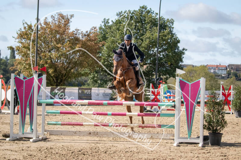 bouferterhaff-jumping-91-standard-45q008.jpg