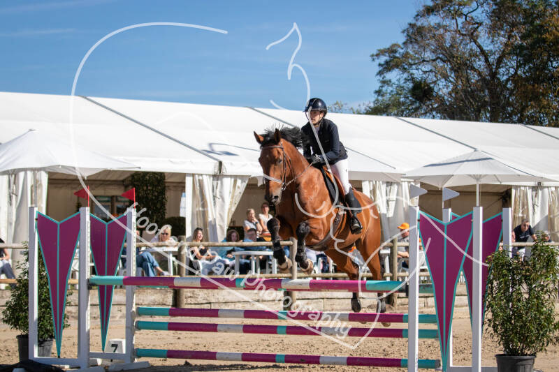 bouferterhaff-jumping-91-standard-fhumw5.jpg