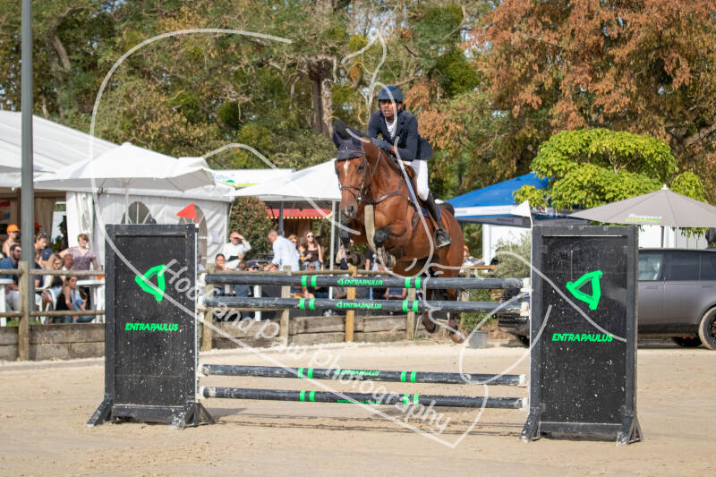 bouferterhaff-jumping-91-standard-lu6mmi.jpg