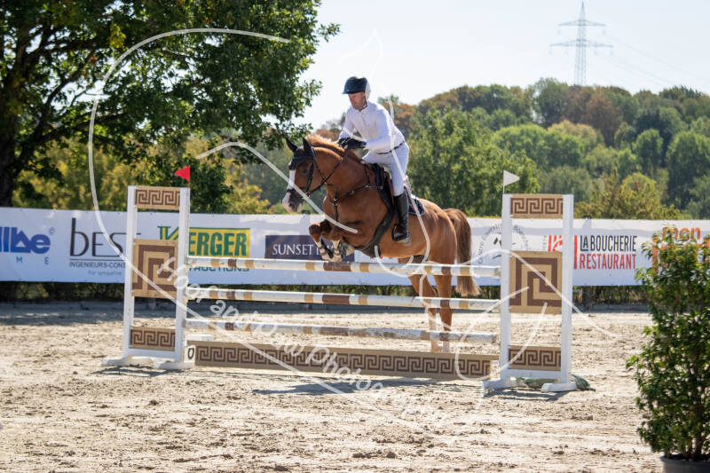 bouferterhaff-jumping-91-standard-q2ljf9.jpg