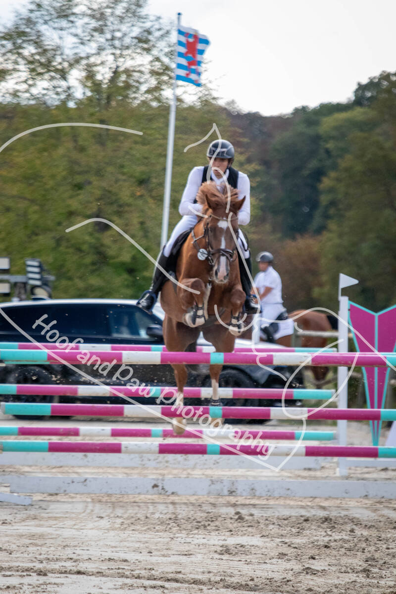 bouferterhaff-jumping-91-standard-r7it75.jpg