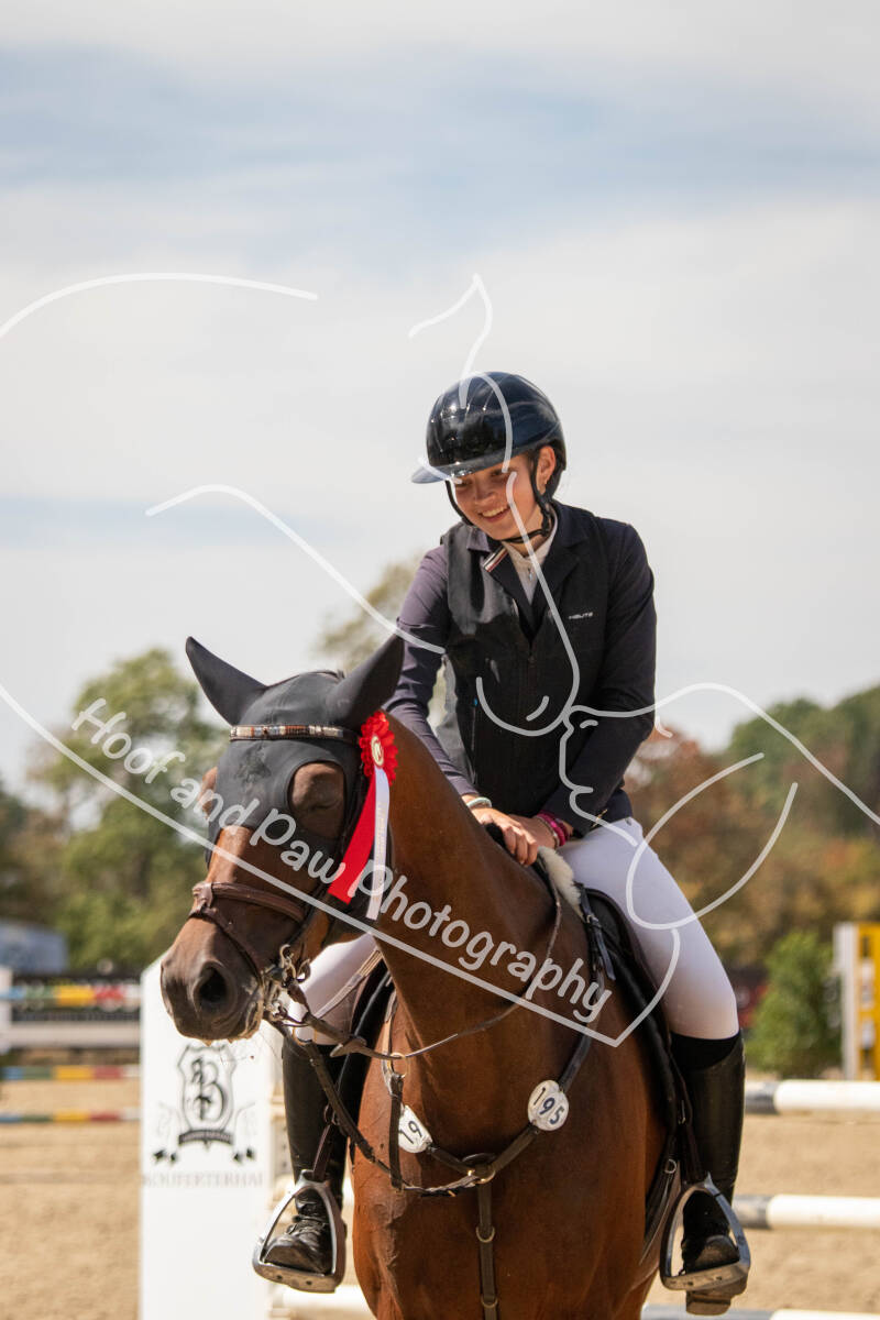 bouferterhaff-jumping-91-standard-yjdfaf.jpg