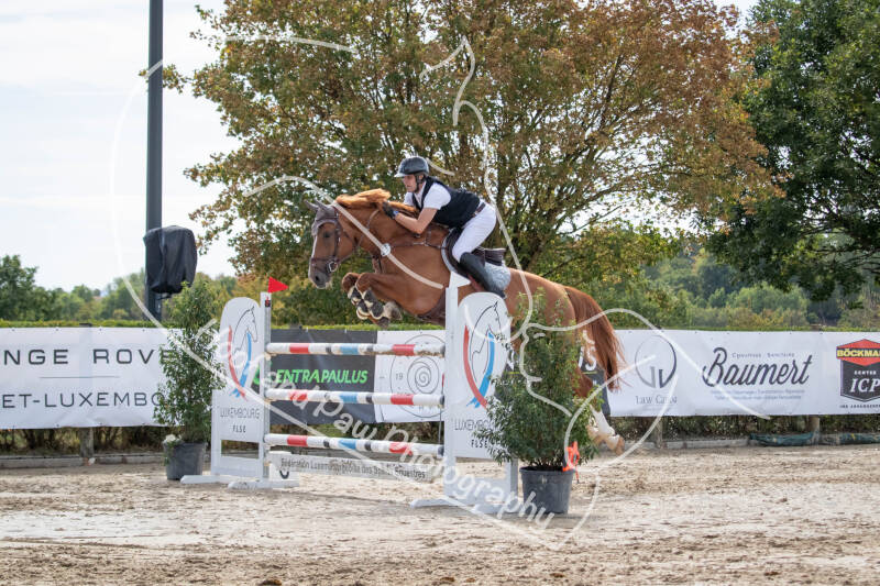 bouferterhaff-jumping-91-standard-zpqmy7.jpg