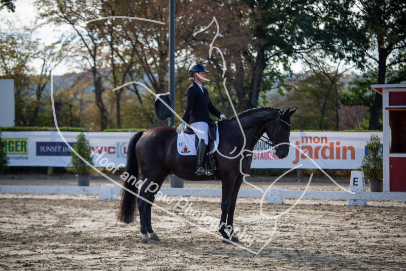 bouferterhaff-jumping-91-standard-zsooiv.jpg