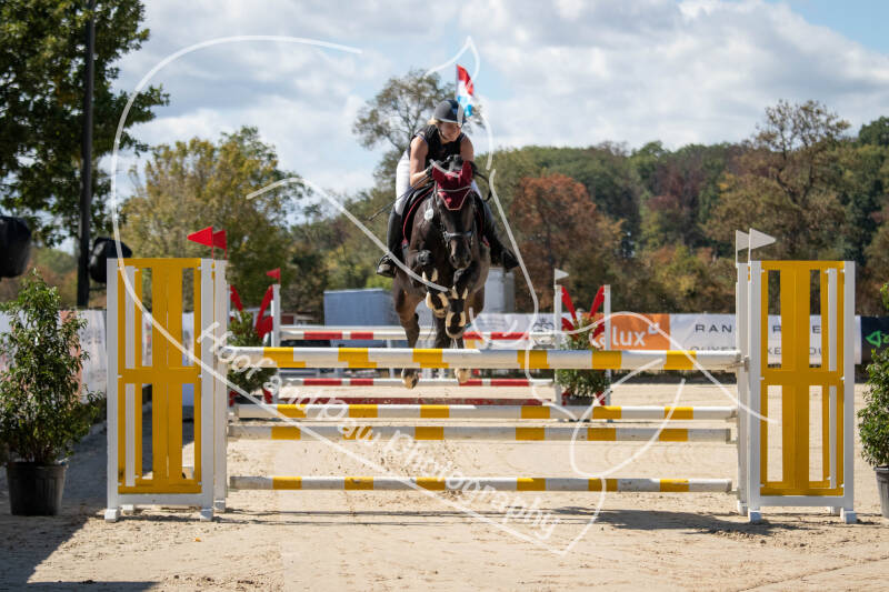 bouferterhaff-jumping-91-standard.jpg