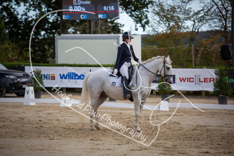 bouferterhaff-jumping-92-standard-1d5cvq.jpg