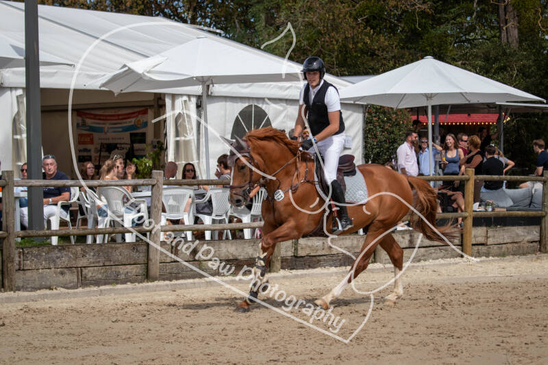bouferterhaff-jumping-92-standard-k8qrnn.jpg
