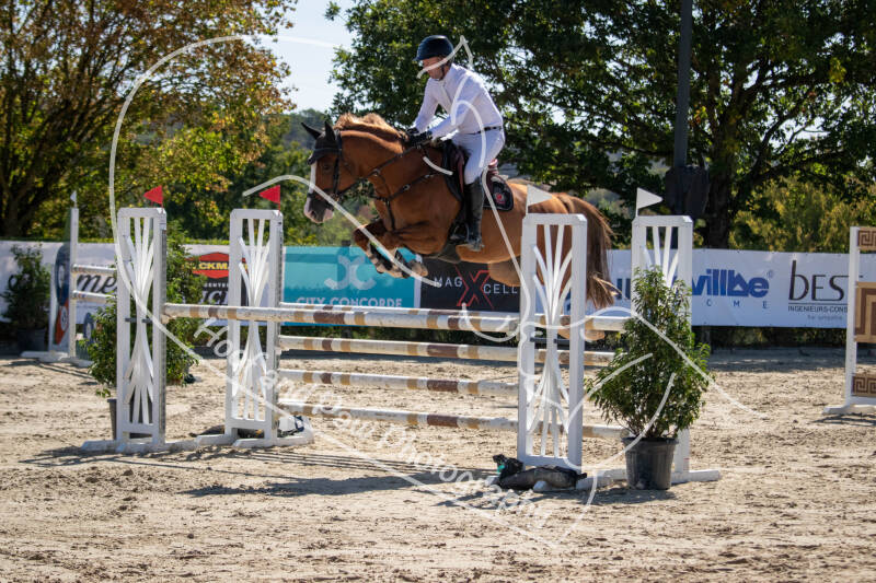bouferterhaff-jumping-92-standard-slhdy5.jpg