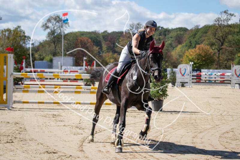 bouferterhaff-jumping-92-standard.jpg