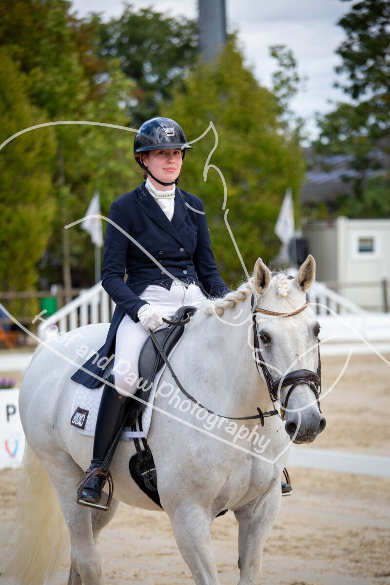 bouferterhaff-jumping-93-standard-9gwrc7.jpg