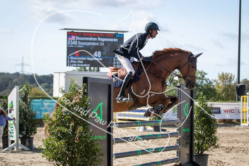 bouferterhaff-jumping-93-standard-mywwy3.jpg