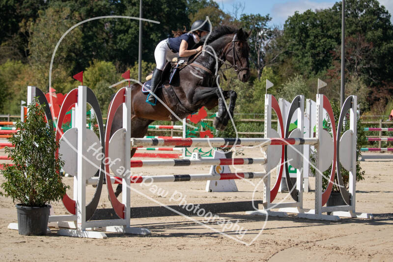bouferterhaff-jumping-93-standard.jpg