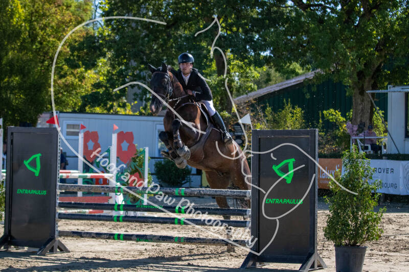 bouferterhaff-jumping-94-standard-ohy3q4.jpg
