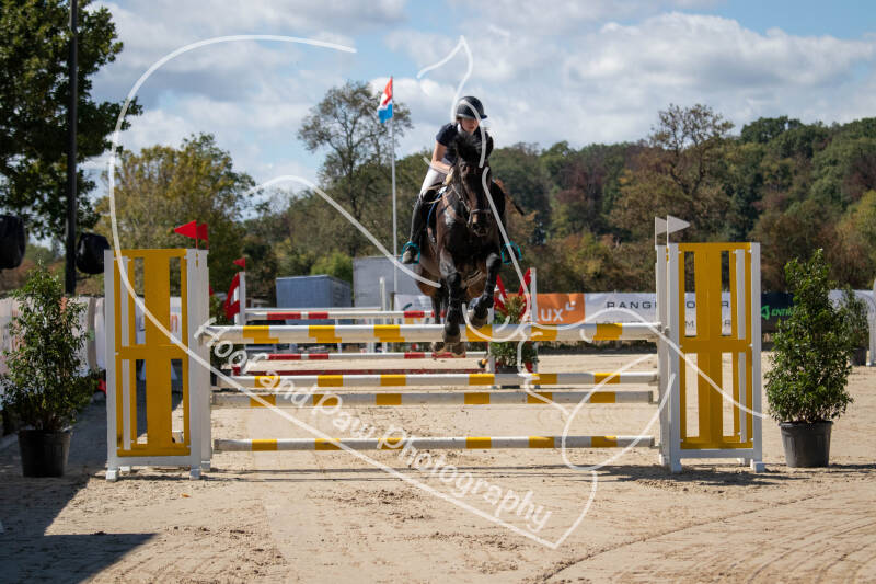 bouferterhaff-jumping-94-standard.jpg