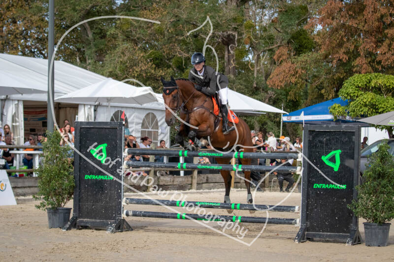 bouferterhaff-jumping-95-standard-7rzjf7.jpg
