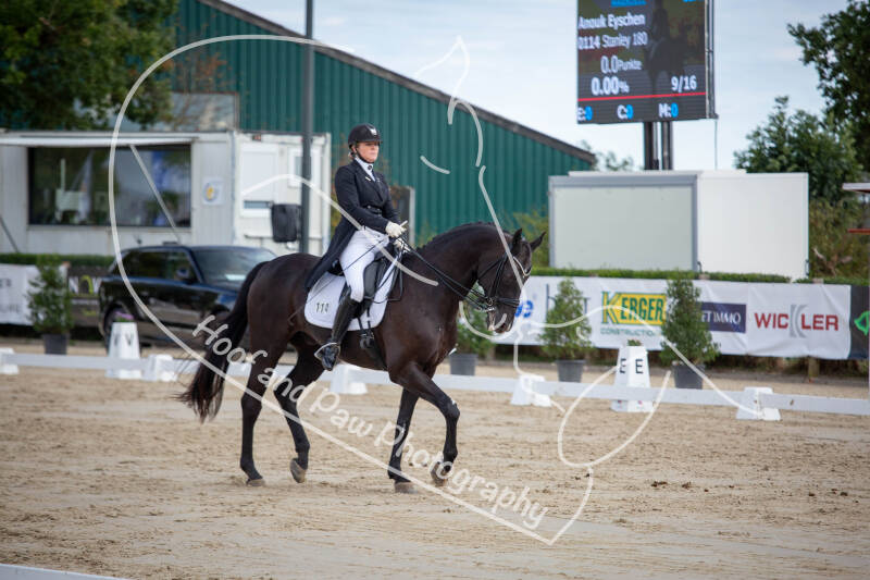 bouferterhaff-jumping-95-standard-b5tkt6.jpg