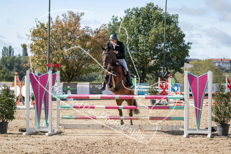bouferterhaff-jumping-95-standard-utbxgj.jpg