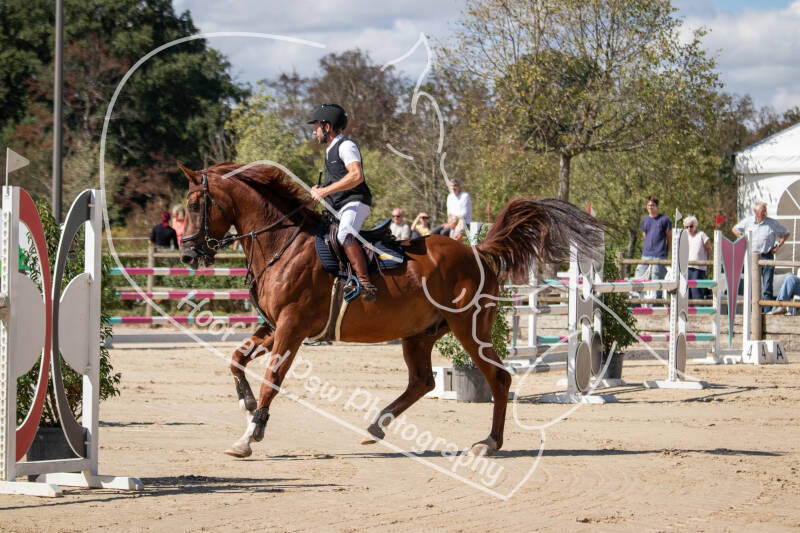 bouferterhaff-jumping-95-standard.jpg