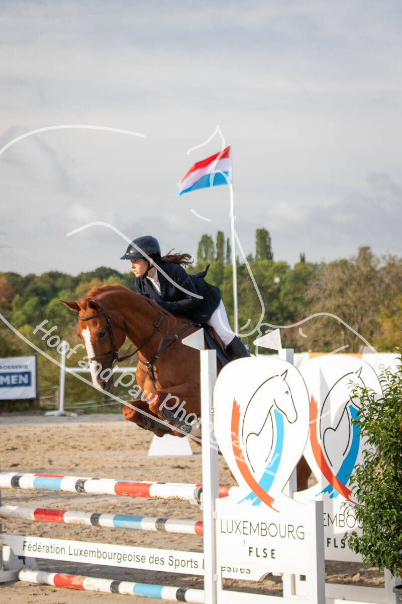 bouferterhaff-jumping-96-standard-9ons0s.jpg