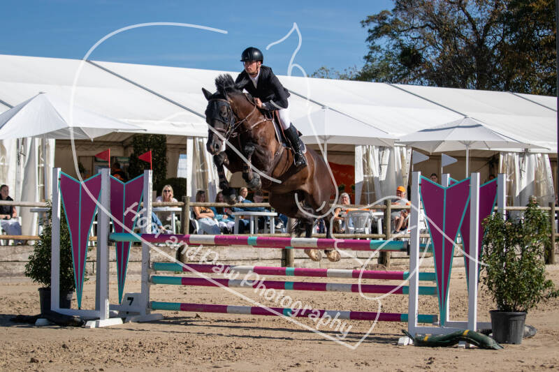 bouferterhaff-jumping-96-standard-ocjw31.jpg