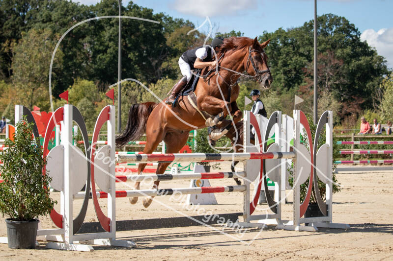 bouferterhaff-jumping-96-standard.jpg