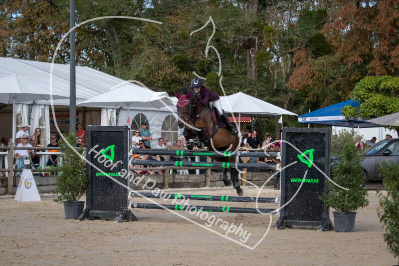bouferterhaff-jumping-97-standard-1a1hgl.jpg