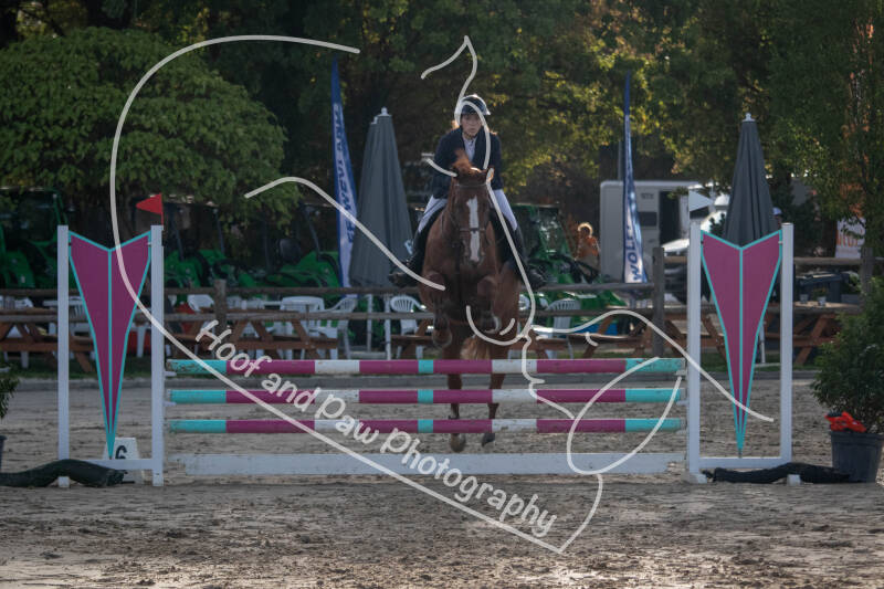bouferterhaff-jumping-97-standard-201qmt.jpg