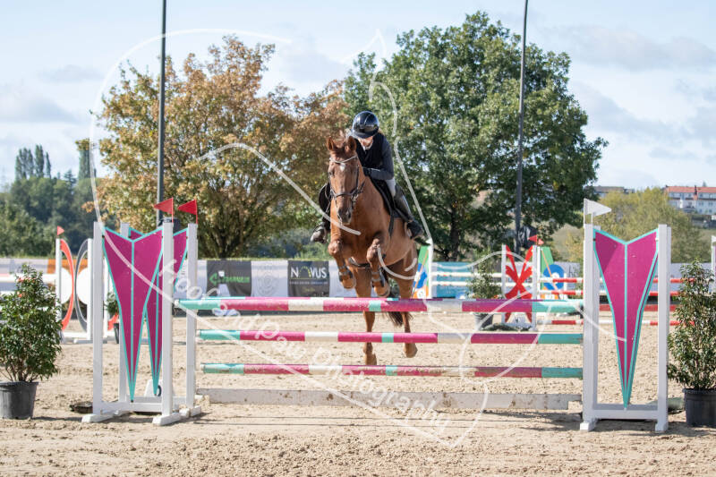 bouferterhaff-jumping-97-standard-qbrbi0.jpg