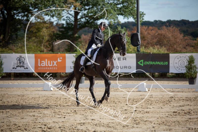 bouferterhaff-jumping-97-standard-rr9wyf.jpg