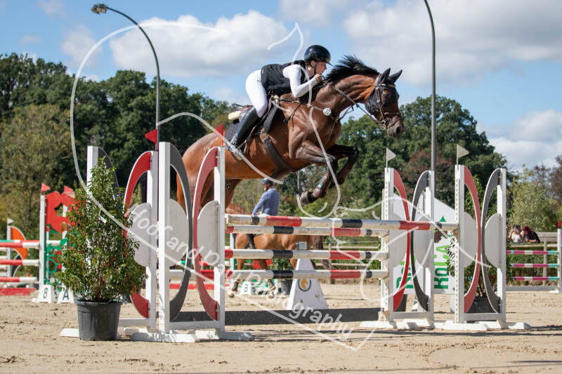 bouferterhaff-jumping-97-standard.jpg