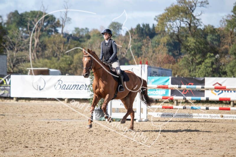 bouferterhaff-jumping-98-standard-56hh2f.jpg