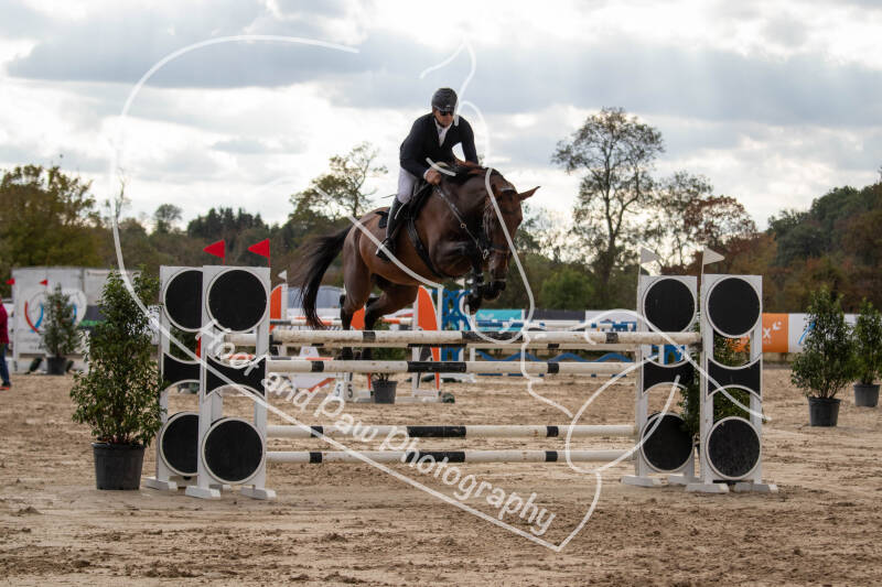 bouferterhaff-jumping-98-standard-sam0r7.jpg