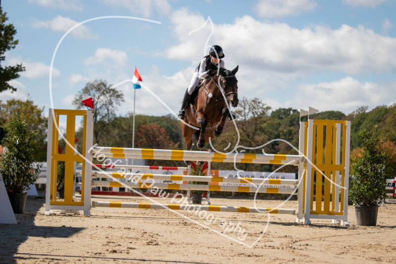 bouferterhaff-jumping-98-standard.jpg