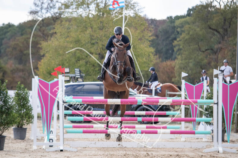 bouferterhaff-jumping-99-standard-9djrzm.jpg