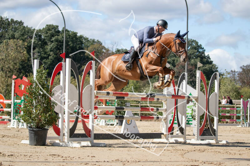 bouferterhaff-jumping-99-standard.jpg