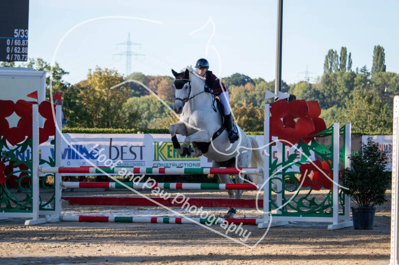 bouferterhaff-jumping-standard-042u0m.jpg
