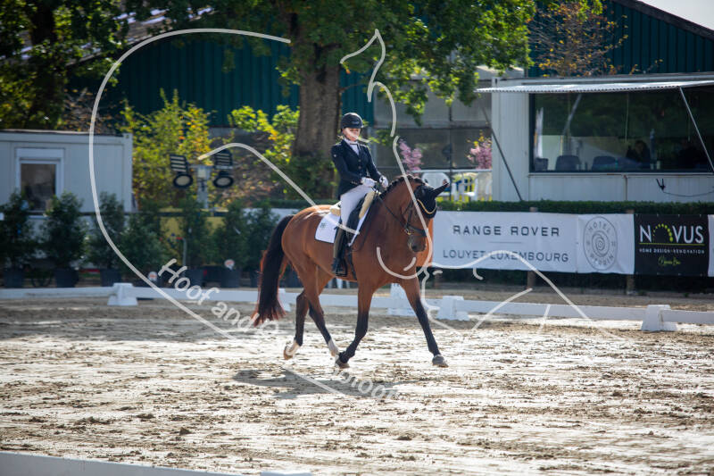 bouferterhaff-jumping-standard-0rn777.jpg