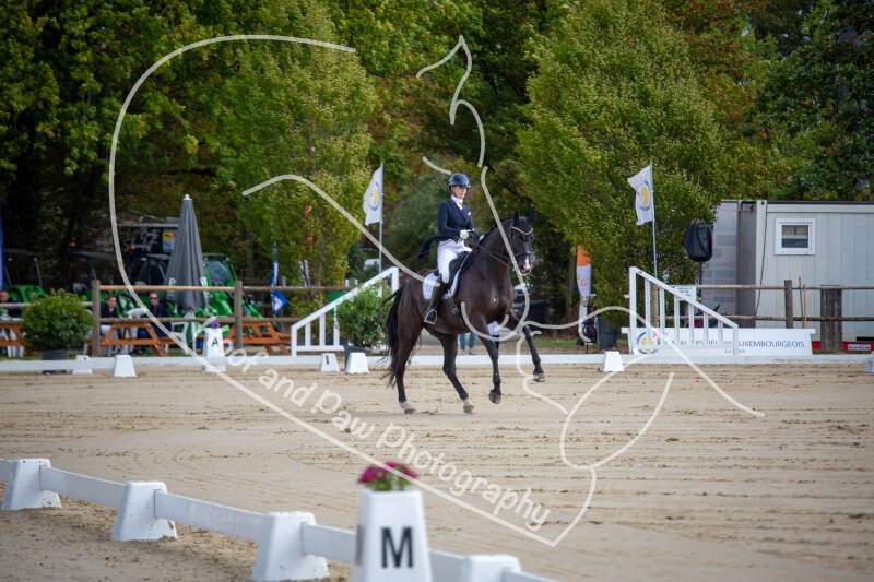 bouferterhaff-jumping-standard-11mkxf.jpg
