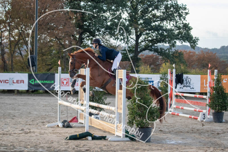 bouferterhaff-jumping-standard-4o6i54.jpg